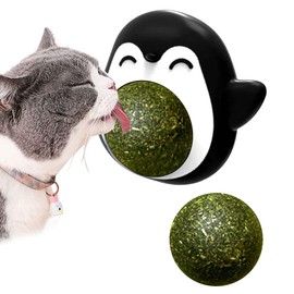 unnderwiss Cat Toy Catnip Ball Interactive Cat Toy 360° Rotation for Licking Cats with Storage Lid and 1 Interchangeable Catnip Ball Catnip Toy