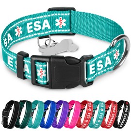 TECEUM Reflective Pet Collar – Teal - ESA – M – Basic Nylon Dog Collar – Quick Release Buckle – Fits Small, Medium and Large Dogs, Puppies, Cats – ESA & Service Dog Options