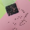500 Pieces Map Push Pins, Small Round Head Marking Pins,