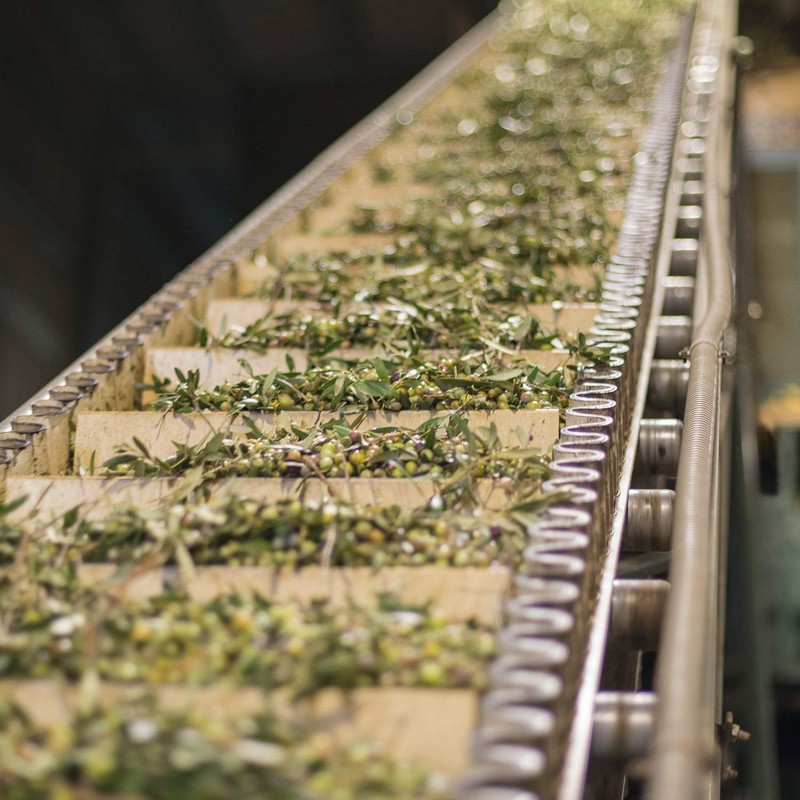 ALDONZA Aceite de Oliva Extra Virgen .500 ml