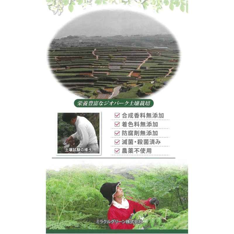 モリンガ サプリ (30g）300粒 凝固剤・添加物不使用 モリンガサプリメント モリンガゴールド サプリ100