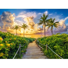 CASTORLAND 3000 Piece Jigsaw Puzzle, Colorful Sunrise in Miami, USA, Adult Puzzle, Castorland C-300617-2