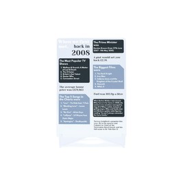 Pirantin 2008 When We First Met - Life in 2008 - The Year We Met - 2008 Ornament - Married in 2008 - Husband, Wife Gift - Anniversary, Wedding Anniversary, Birthday, Valentines, Christmas (uvmet2008)