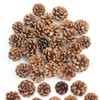 Natural Pine Cones, Pack of 32 Mini Christmas Pine Cones,