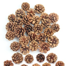 Natural Pine Cones, Pack of 32 Mini Christmas Pine Cones, 3-4 cm, Decoration, Pine Cones, Suitable for DIY Christmas Trees, Resin Crafts and Home Decoration