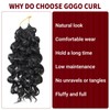 Datanala GoGo Curl Crochet Hair 10 Inch 8 Packs Pre