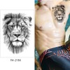 Lion Tattoos Arm Tattoos Fake Tattoos Festival Tattoos Lion Tattoos