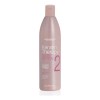 Keratin Therapy Lisse Desingn #2 Alfaparf 500ml