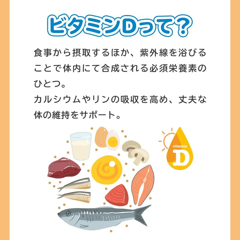 【公式ストア限定】ロイテリ 乳酸菌 サプリメント ＋VitaminD3 10粒入(10日分) ロイテリ菌 タブレット シトラス プロバイオティクス オハヨー