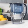 LITTLE BALANCE 8593 Ocean Water Filter Carafe + 1 Filter,