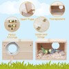 RANYPET Budgie Nesting Box Transparent Design, Bird Nest Breeding Box