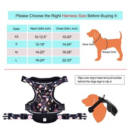Petmolico Dog Harness for Small Dogs No Pull, Cute Dog Harness with Two Leash Clips and Soft Handle, Reflective Easy Walk Dog Harness with Leash, Black Peach Small