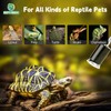 REPTI HOME Reptile Heat Lamp, UVA UVB Heat Lamp Bulbs,