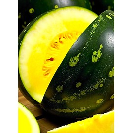 Seeds Yellow Watermelon Janosik 20+ Seeds to Grow