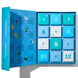 DAVIDsTEA 12 Days of Wellness Teas – 12 Organic Loose Leaf Tea Sampler Gift Set, 24 Servings | Variety Pack of Herbal, Chai, Oolong & Green Tea