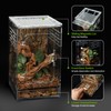 Jumping Spider Enclosure Set,5.9 * 5.9 * 9.84 inch