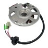 Motorsupermarkets Stator for Eton NXL-90 Thunder 90D Magneto Coil 650234