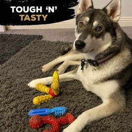 TastyBone QuattroBone Nylon Dog Chew Toy for Large Dogs (Chorizo) - Indestructible for Aggressive Chewers, Everlasting Flavour, Strong Healthy Teeth, Made in the UK
