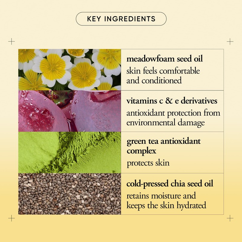 philosophy purity made simple pore ultra-light face moisturizer - with