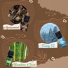 SNOWSEN Woody Essential Oil Set, 6 Pure Wood Scents -