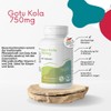 Vitamintrend Gotu Kola 750 mg, 250 Tablets, High Dose Gotu
