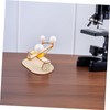 KONTONTY 3set Solar System Model Kit Earth Moon and Sun