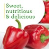 Bonnie Plants Red Bell Pepper Live Vegetable Plants - 4