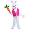 Morris Costumes Men's Easter Bunny Costume Suit with Vest &