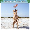 BoomBone Squeaky Dog Water Pool Toys 4 Pack, Interactive Summer