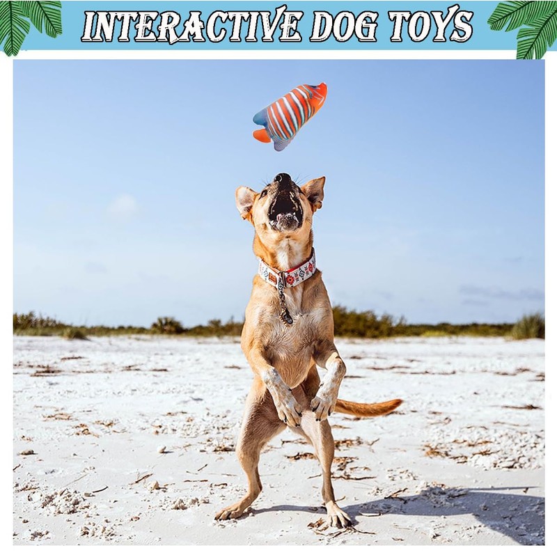 BoomBone Squeaky Dog Water Pool Toys 4 Pack, Interactive Summer