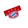 FC Bayern München Flag – 5 Star Logo – 150