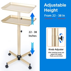 Salon Tray on Wheels, Hair Stylist Tray with Adjustable Height for Salon and SPA Use, Tattoo Tray and Dental Tray