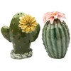 CG 20893 3.13" Painted Pair of Cactus Flowers Salt and