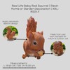 Real Life Baby Red Squirrel | Resin Home or Garden