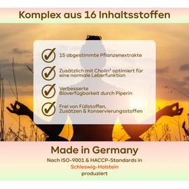 16fach Leber-Kur - 180x Leber Kapseln mit Mariendistel Artischocke Löwenzahn Resveratrol OPC & 11 Weiteren