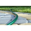cellfast 10-007 Economic Garden Hose, Green, 1/2 Inch