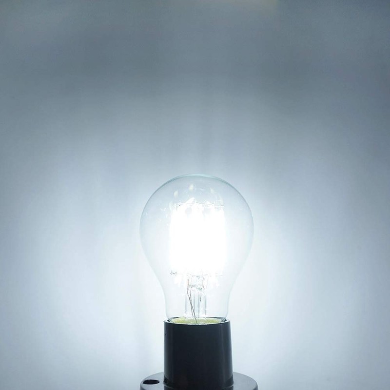 OPALRAY 12V-24V DC Low Voltage Input LED Bulb, Classic A19(A60)