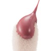 Mar Cosmetics Lip Gloss (Flirty Pink)