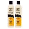 Bigen Moisture Plus Shampoo 12 OZ - 2 pack