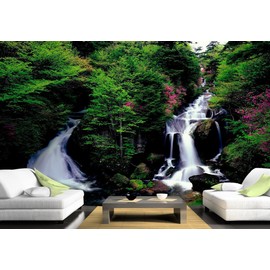 Huge Photo Wall Mural 12 Feet 6 Inch Wide X 9 Feet High Covers an Entire Wall! Tropical Beaches, Waterfalls, Mountains, Nature (Twin Falls Wall Mural)