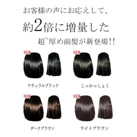 GFun Bangs Wig, Super Thick, 2x Hair Volume, Natural, Full Hand Plant, Partial Wig, Point Wig, Costume, Everyday, Black