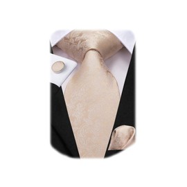 Hi-Tie Men 63inches Tie Set Extra Long Necktie Paisley Tie Pocket Suqare Cufflinks Big and Tall Men Tie,Champagne