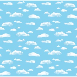 Pacon PAC56468-A1 Fadeless Paper Roll, 48" Width, 12' Length, Clouds (Pack of 4)