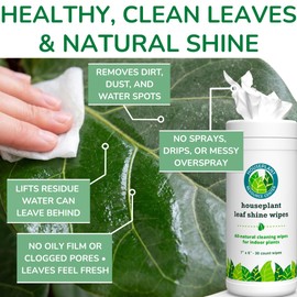 Houseplant Leaf Shine & Cleaner Wipes | Removes Dust, Dirt & Water Spots for Healthier, Glossy Leaves | Easy-to-Use Natural Leaf Cleaning Wipes for Indoor & Outdoor Plants | 30 Count