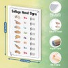 Skin Tones Hands Sign Poster, 16"x24" Music Classroom Print, Piano
