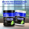 Suplemento Creatina Monohidratada 500g Nit-pro 100serv Polvo