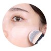 Picasso Foundation Brush FB20