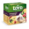 Loyd The Magical Experience Cranberry with Ginger 20 ct tea