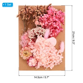 PATIKIL Pressed Flowers for Craft, Bulk Dried Flowers Natural Pressed Flowers Leaves for Resin Soap Candle Scrapbooking DIY Gift Papermaking, Various Color