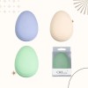 Cepillo Desenredante Para Maquillaje De Bolsillo Diseño Oval